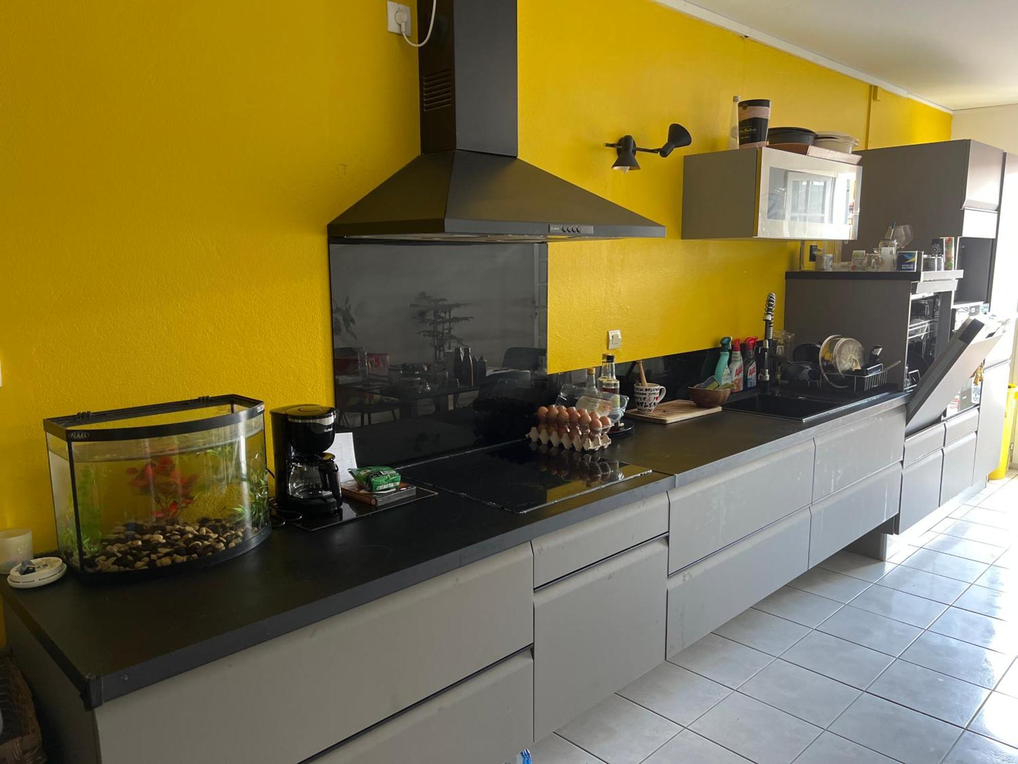 Apartament Appart Coeur De Rhum Pointe-à-Pitre Zewnętrze zdjęcie